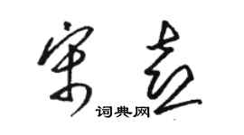 骆恒光宋喜草书个性签名怎么写