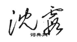 骆恒光沈霞草书个性签名怎么写