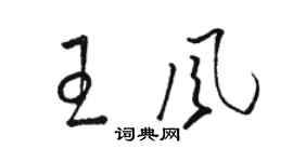 骆恒光王风草书个性签名怎么写