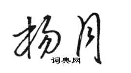 骆恒光杨月草书个性签名怎么写