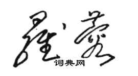 骆恒光罗蓉草书个性签名怎么写
