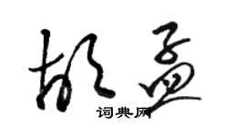 骆恒光胡孟草书个性签名怎么写