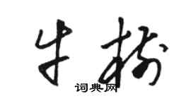 骆恒光牛树草书个性签名怎么写