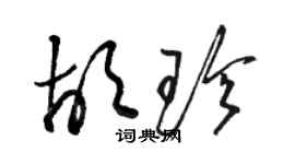 骆恒光胡珍草书个性签名怎么写