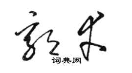 骆恒光郭幸草书个性签名怎么写