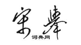 骆恒光宋举草书个性签名怎么写
