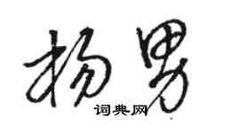 骆恒光杨男草书个性签名怎么写