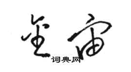 骆恒光金宙草书个性签名怎么写