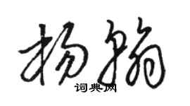 骆恒光杨翰草书个性签名怎么写