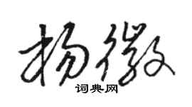 骆恒光杨徽草书个性签名怎么写