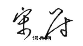 骆恒光宋尉草书个性签名怎么写