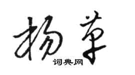 骆恒光杨革草书个性签名怎么写