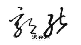 骆恒光郭能草书个性签名怎么写