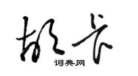 骆恒光胡卡草书个性签名怎么写