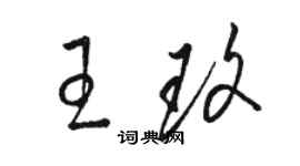 骆恒光王玫草书个性签名怎么写