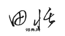 骆恒光田恬草书个性签名怎么写