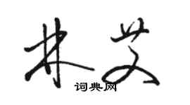 骆恒光林艾草书个性签名怎么写