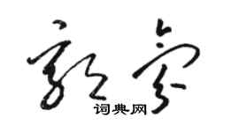 骆恒光郭氛草书个性签名怎么写