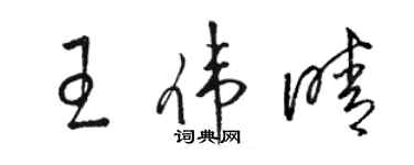骆恒光王伟晴草书个性签名怎么写