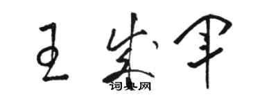 骆恒光王成军草书个性签名怎么写