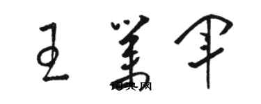骆恒光王业军草书个性签名怎么写