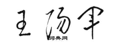 骆恒光王阳军草书个性签名怎么写