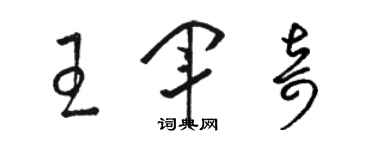 骆恒光王军奇草书个性签名怎么写