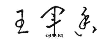 骆恒光王军香草书个性签名怎么写