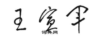 骆恒光王宣军草书个性签名怎么写