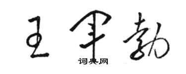 骆恒光王军勃草书个性签名怎么写