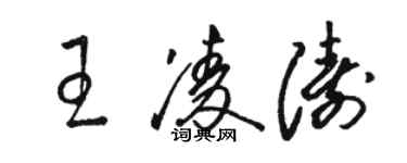 骆恒光王凌涛草书个性签名怎么写