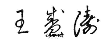 骆恒光王盛涛草书个性签名怎么写