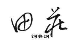 骆恒光田庄草书个性签名怎么写