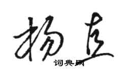 骆恒光杨直草书个性签名怎么写