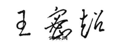 骆恒光王密超草书个性签名怎么写