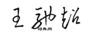 骆恒光王驰超草书个性签名怎么写