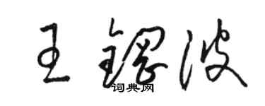 骆恒光王钢波草书个性签名怎么写