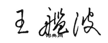 骆恒光王舰波草书个性签名怎么写