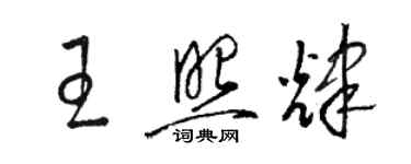 骆恒光王照辉草书个性签名怎么写