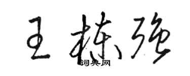 骆恒光王栋强草书个性签名怎么写