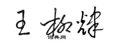 骆恒光王柳辉草书个性签名怎么写
