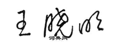 骆恒光王晓明草书个性签名怎么写