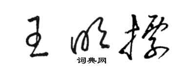 骆恒光王明标草书个性签名怎么写