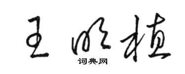 骆恒光王明植草书个性签名怎么写