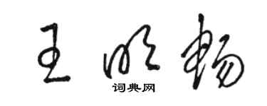 骆恒光王明畅草书个性签名怎么写
