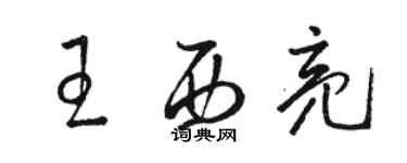 骆恒光王西亮草书个性签名怎么写
