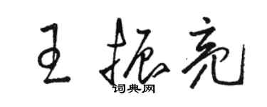 骆恒光王振亮草书个性签名怎么写