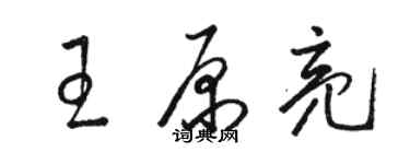 骆恒光王原亮草书个性签名怎么写