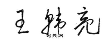 骆恒光王韩亮草书个性签名怎么写