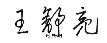 骆恒光王舒亮草书个性签名怎么写